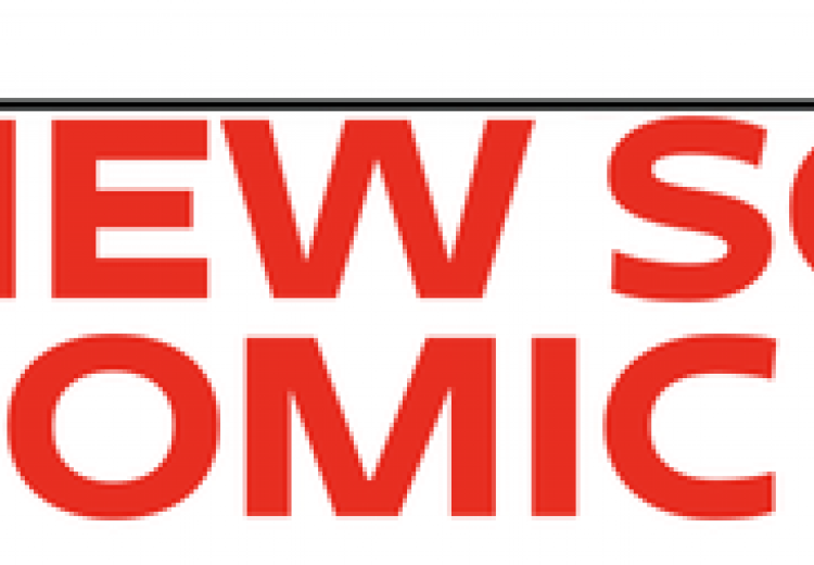 New School Economic Review